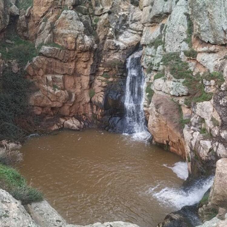 Foto de perfil de Jesus