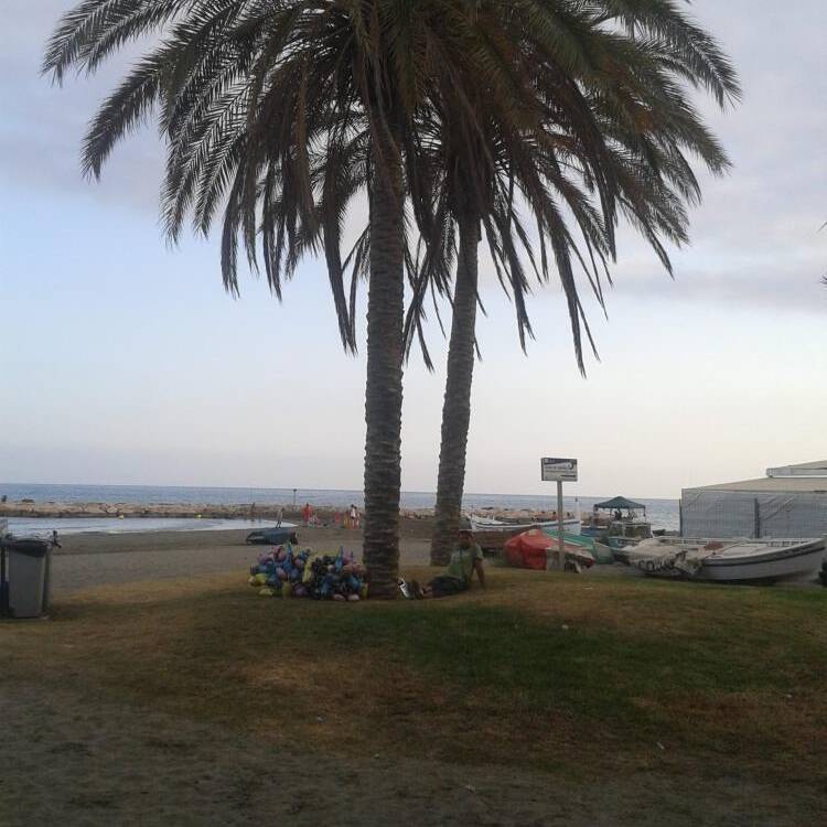 Foto de perfil de Gabriela