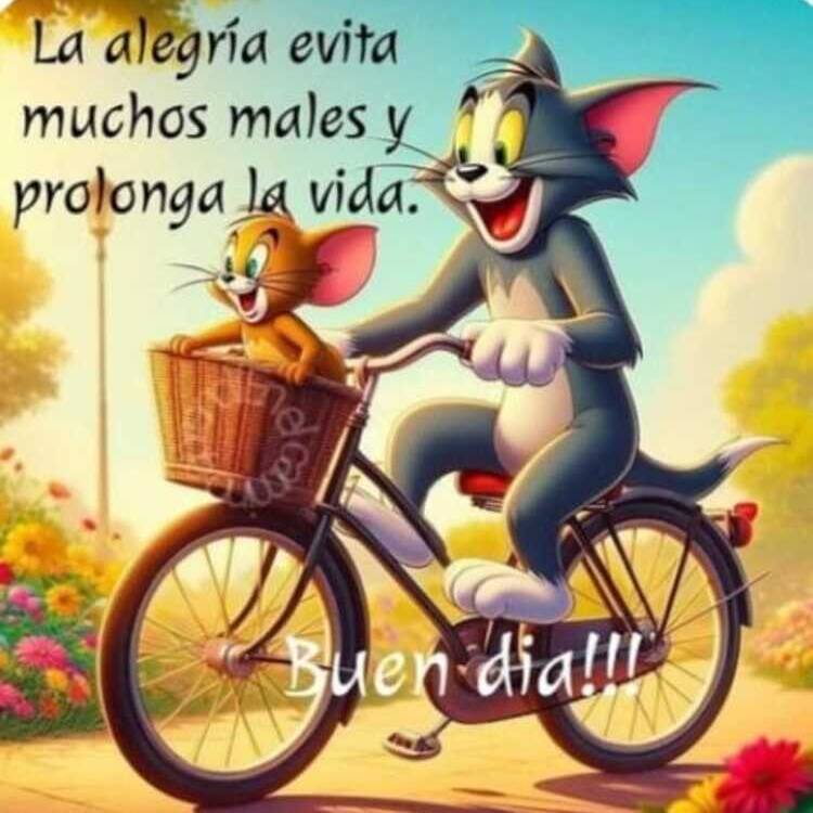 Foto de perfil de Elena