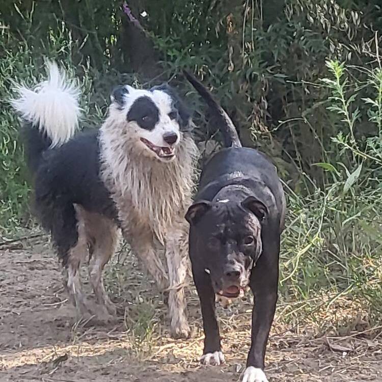 Foto de perfil de Larisa