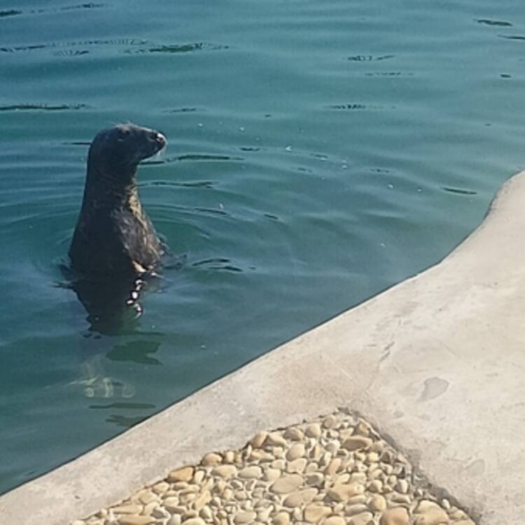 Foto de perfil de Antonio