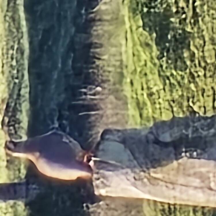 Foto de perfil de Ruben