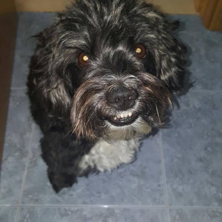 Foto de perfil de Nelda