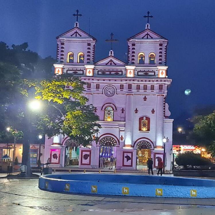 Foto de perfil de francisco