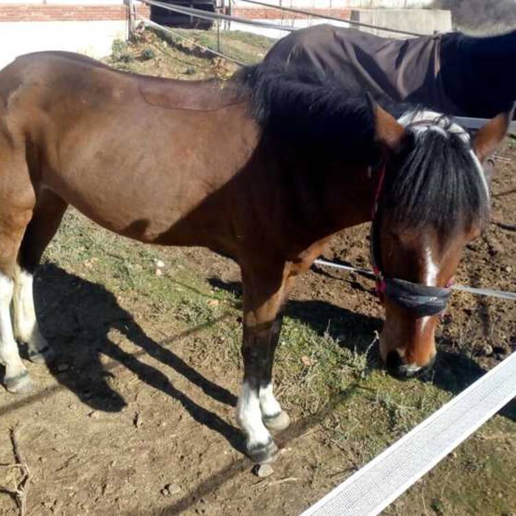 Foto de perfil de Ruben