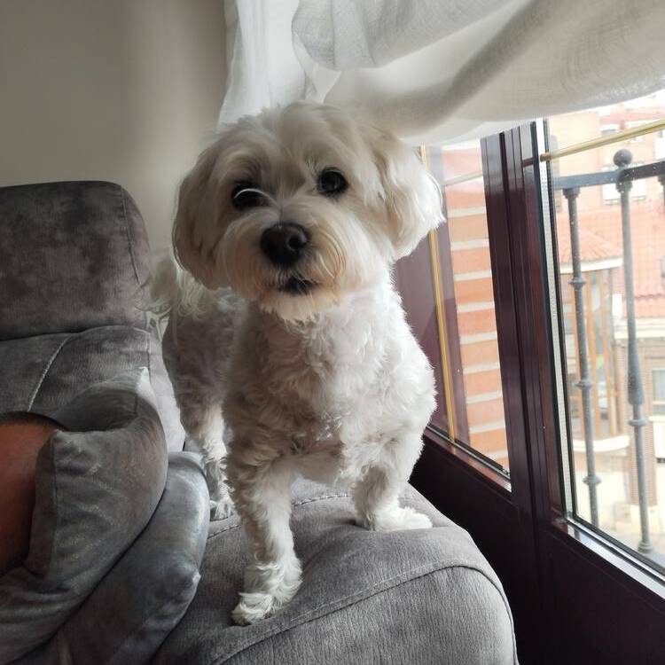 Foto de perfil de Pilar