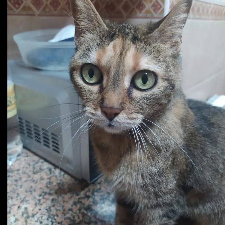 Foto de perfil de Beatriz