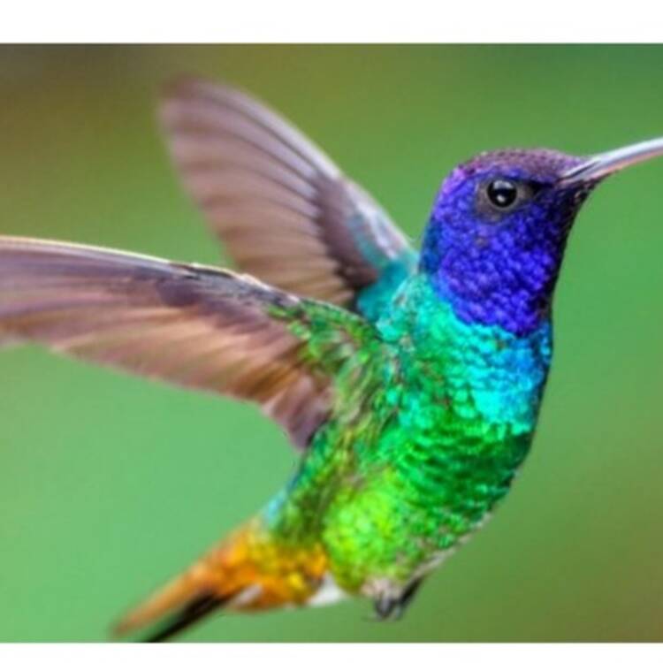Foto de perfil de Maria