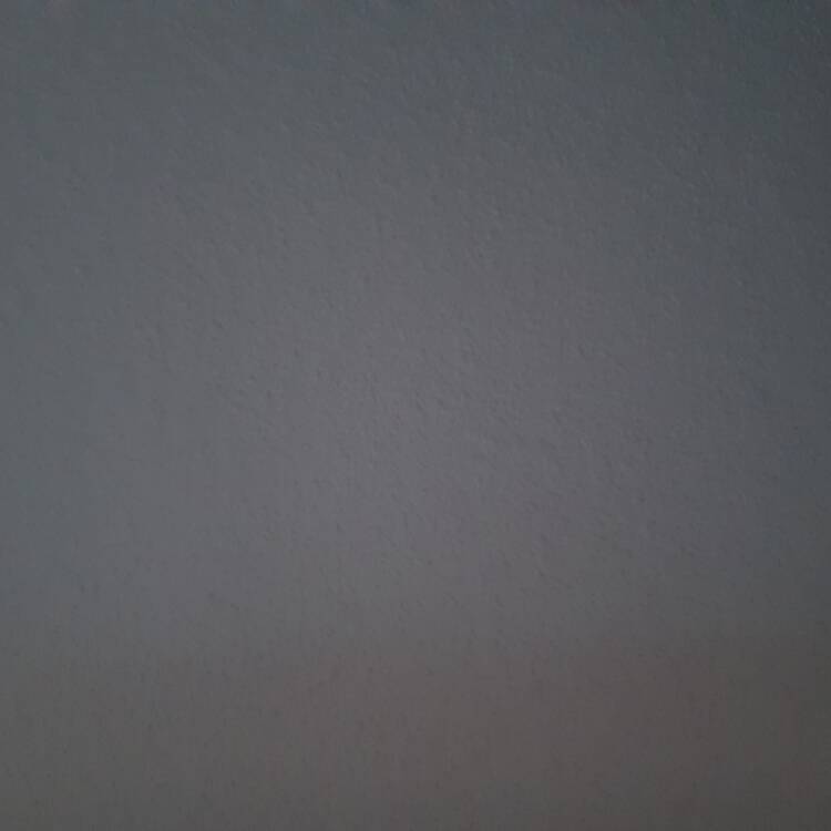 Foto de perfil de Miguel