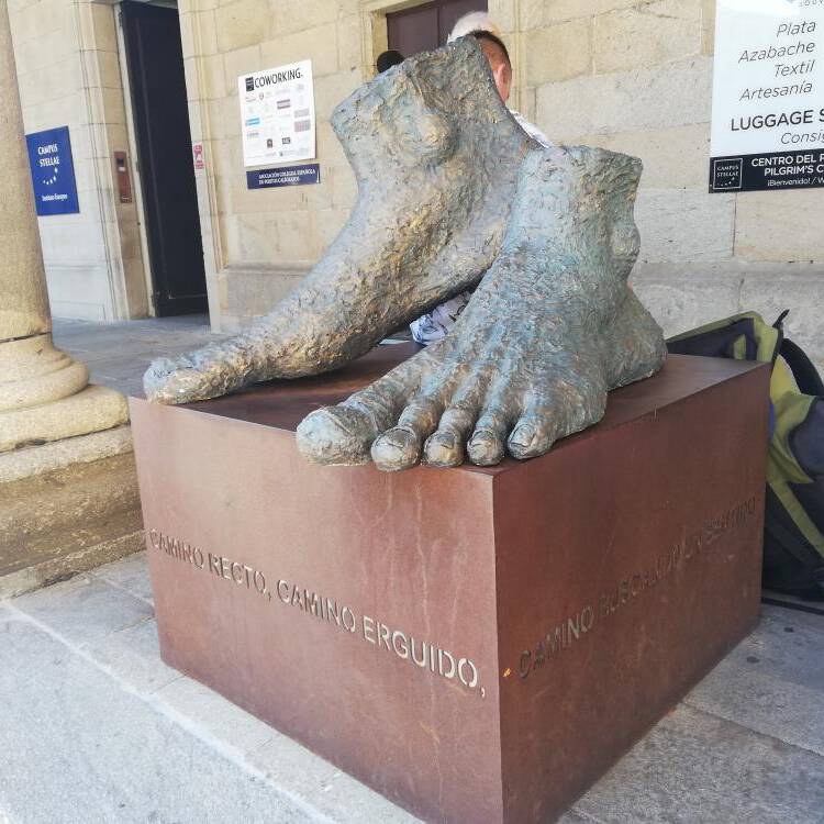Foto de perfil de Caminante