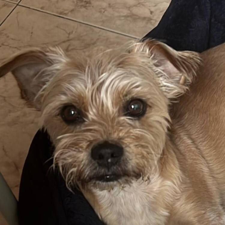 Foto de perfil de Leon