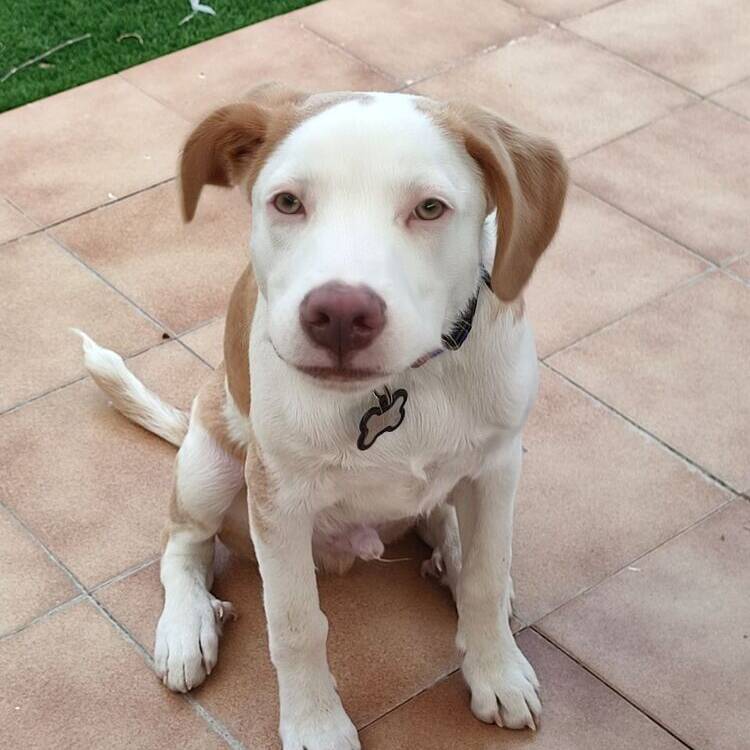 Foto de perfil de jennifer