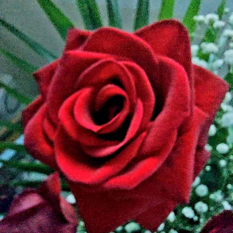 Foto de perfil de Maria