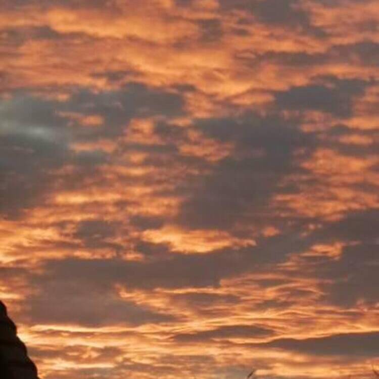 Foto de perfil de andrea