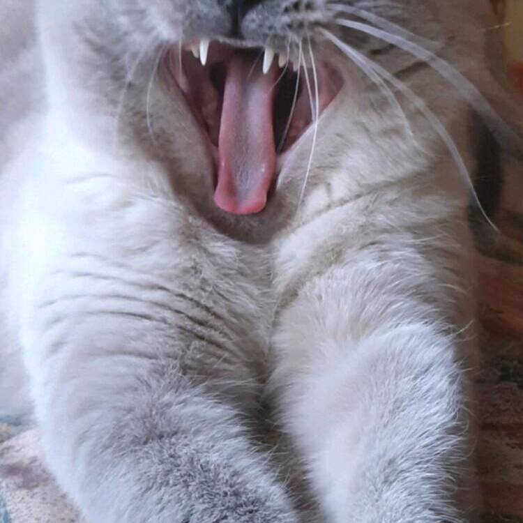 Foto de perfil de MALASCA