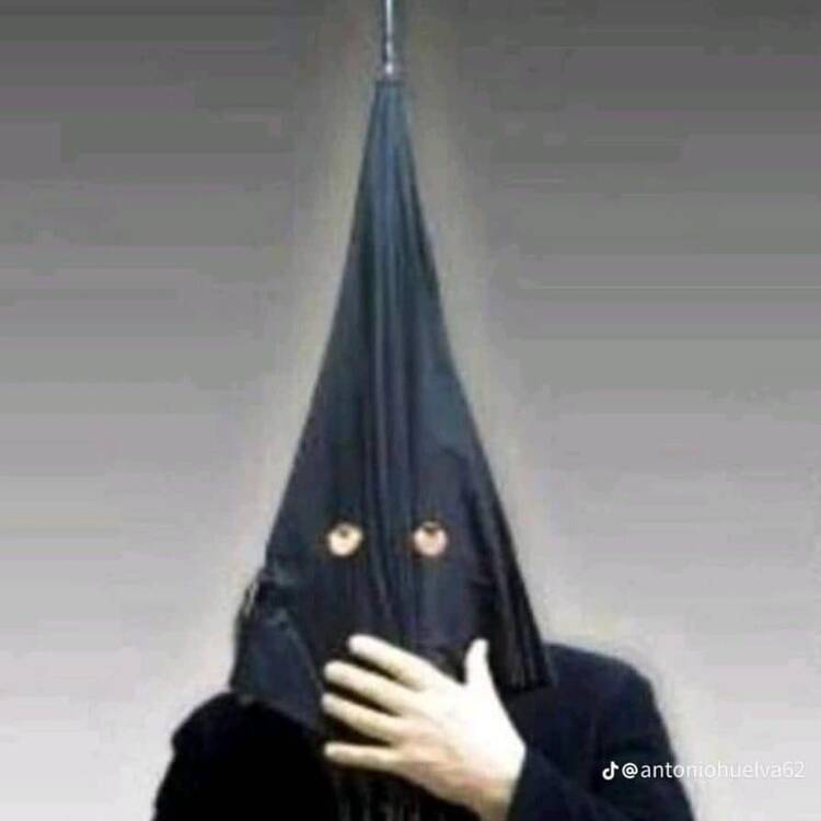 Foto de perfil de Pedro