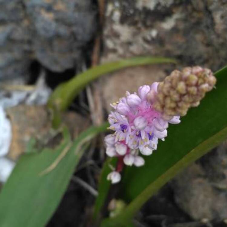 Foto de perfil de ï¿½ngel