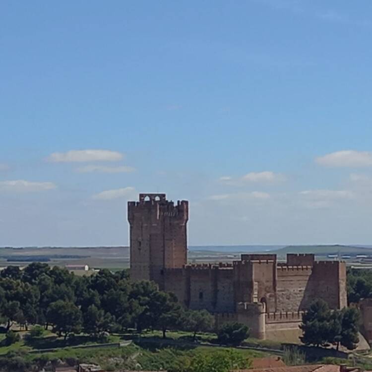 Foto de perfil de Antonio