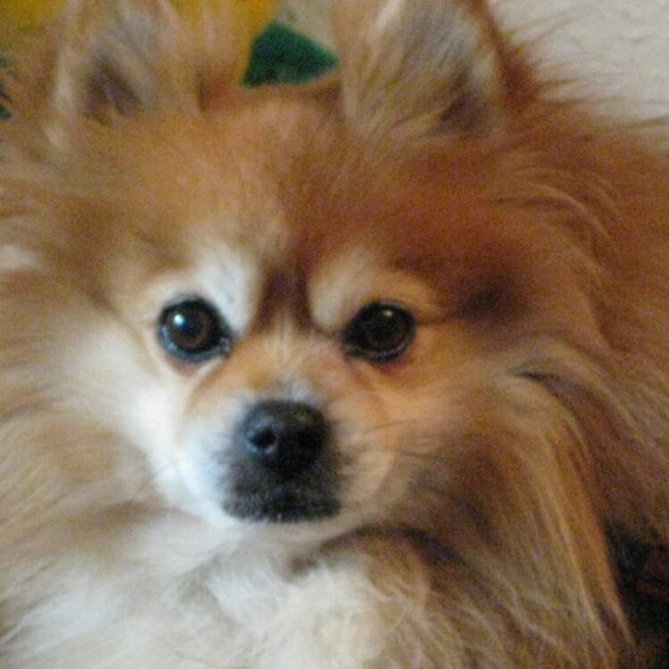 Foto de perfil de jose