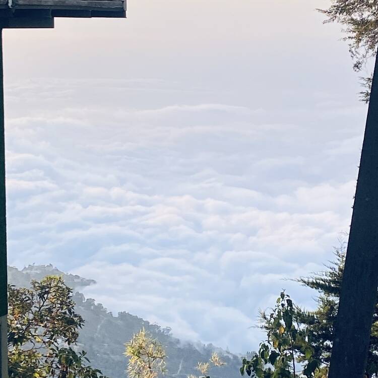 Foto de perfil de Soledad