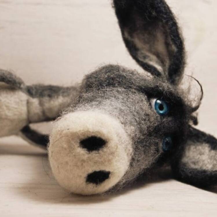 Foto de perfil de Rafael