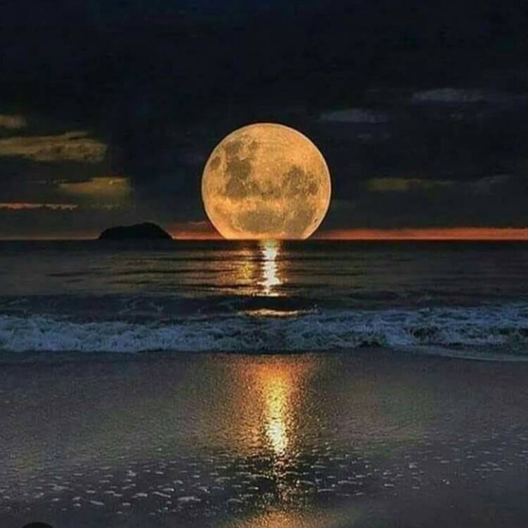 Foto de perfil de Luna
