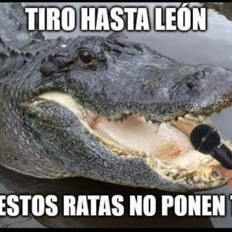 Foto de perfil de Jose