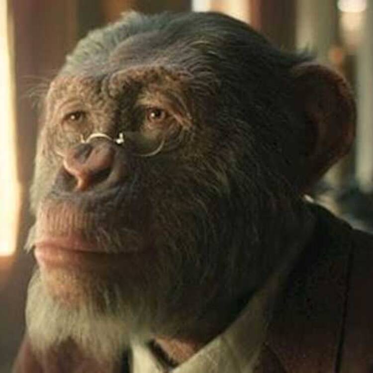 Foto de perfil de Alberto