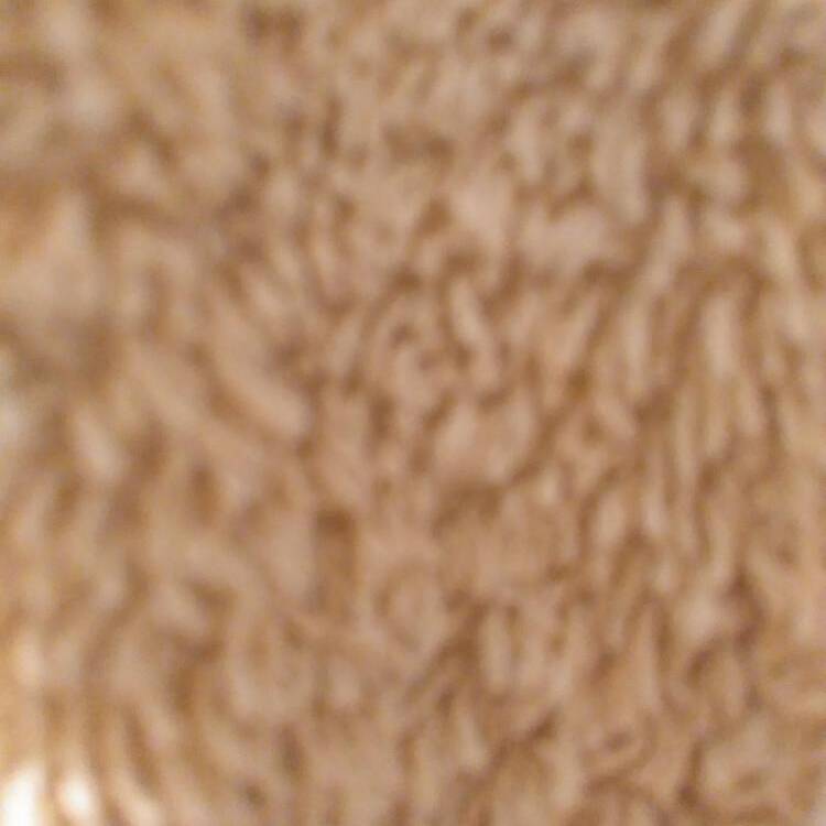 Foto de perfil de Paco