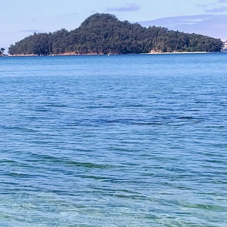 Foto de perfil de MAICA