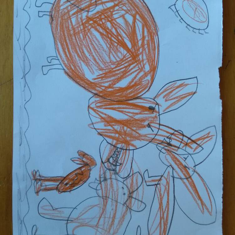 Foto de perfil de Rober