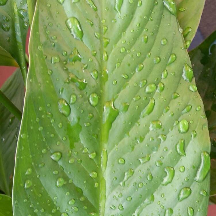 Foto de perfil de Agueda