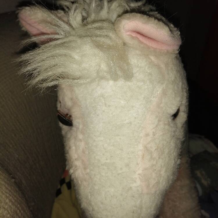 Foto de perfil de Ana