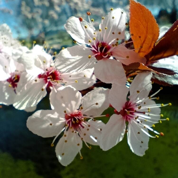 Foto de perfil de Alba