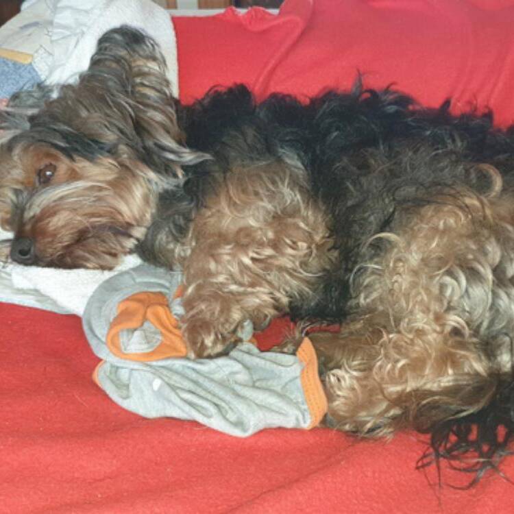 Foto de perfil de Angela
