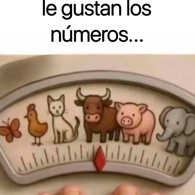 Foto de perfil de Jose Luis