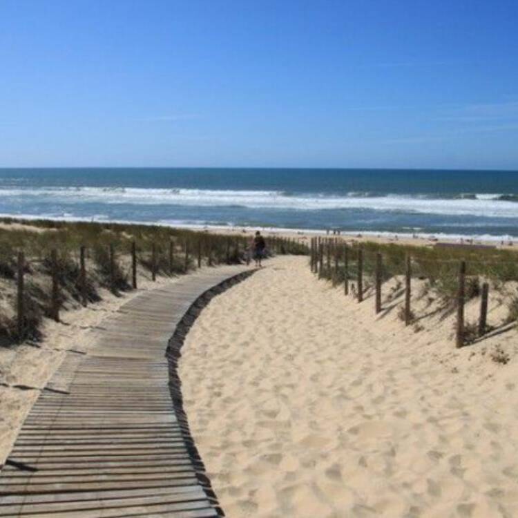 Foto de perfil de Alex