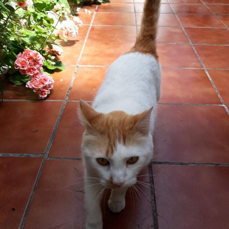 Foto de perfil de Jos? Antonio