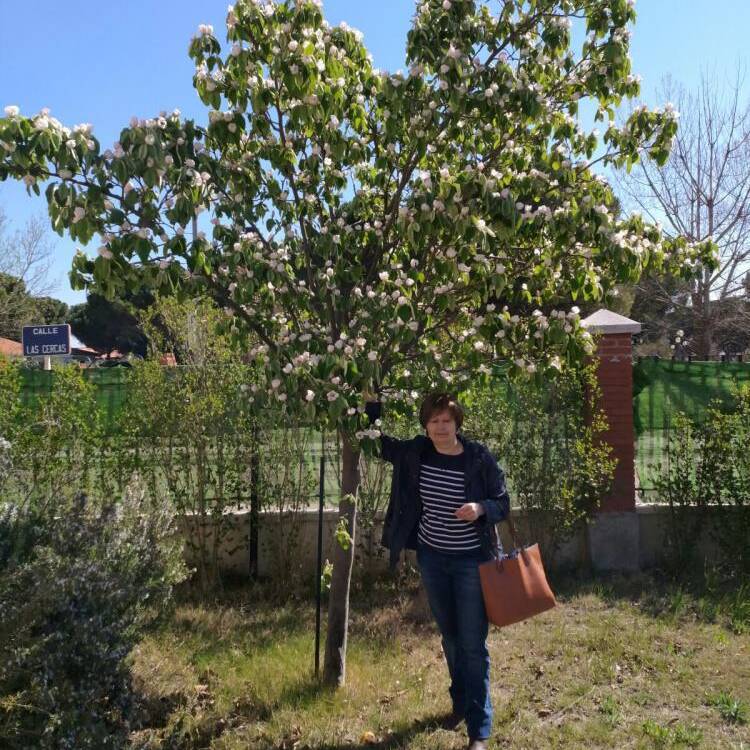 Foto de perfil de alicia  cabrero  pecharroman