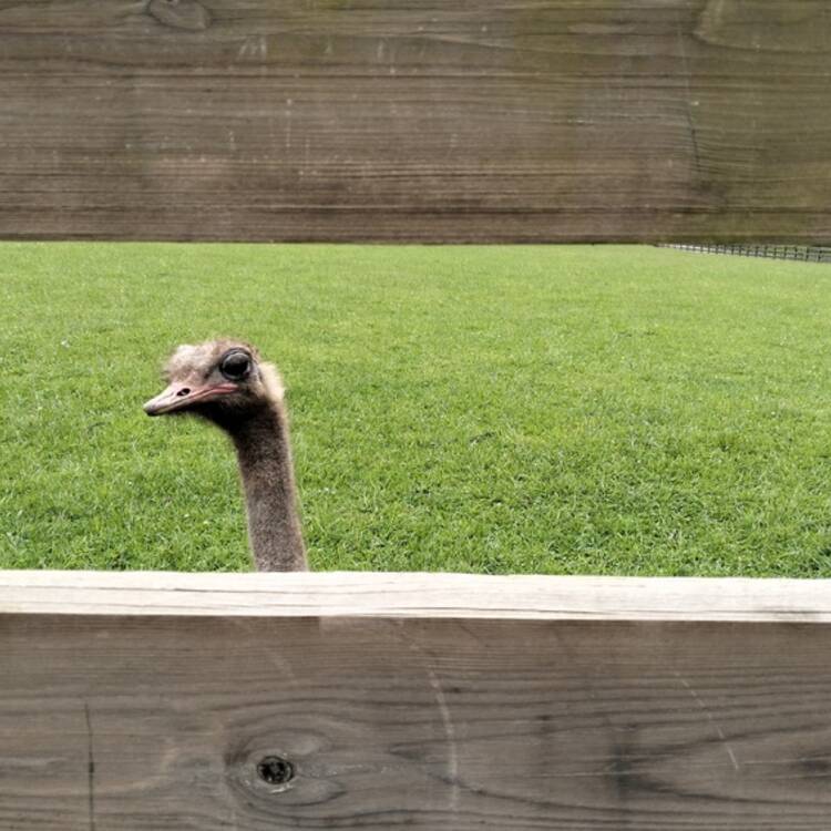 Foto de perfil de JAVIER