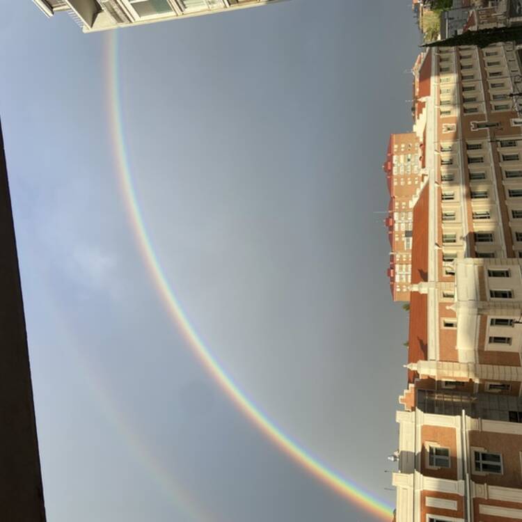 Foto de perfil de Carolina