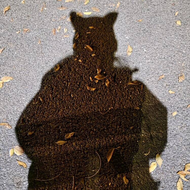 Foto de perfil de Jun Ni