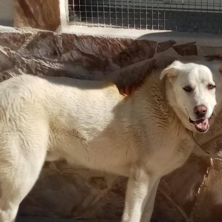 Foto de perfil de Estrella