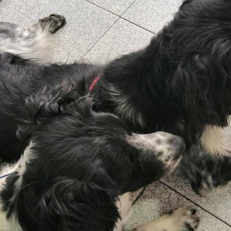 Foto de perfil de roberto