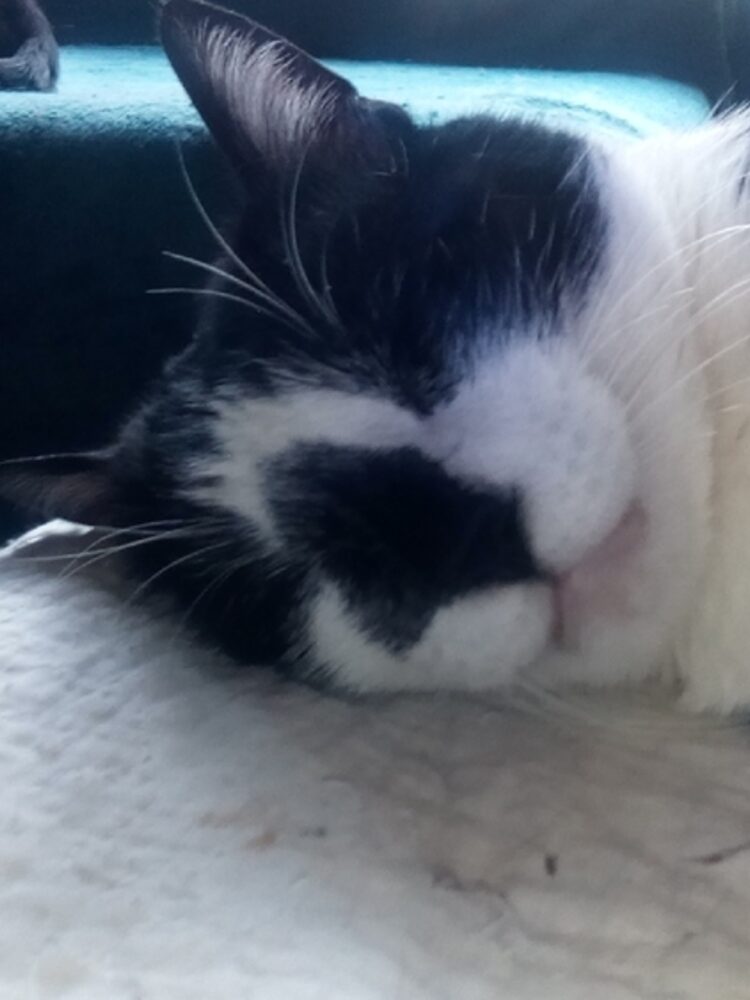 Foto de perfil de Patricia