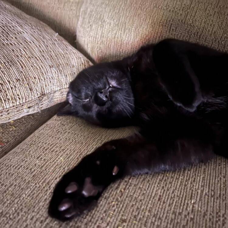 Foto de perfil de nacho