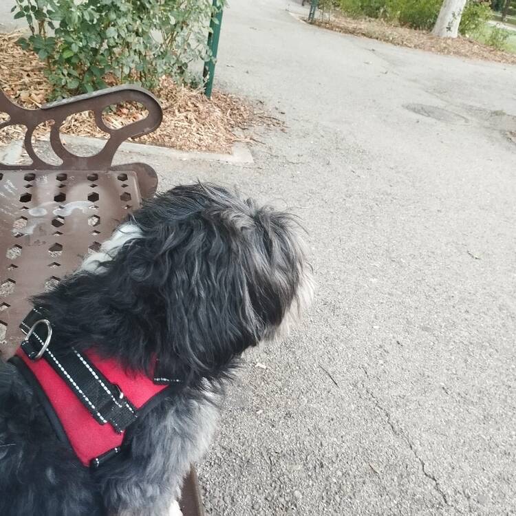 Foto de perfil de Paolo
