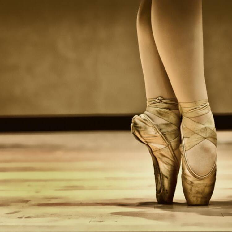 Foto de perfil de Cris