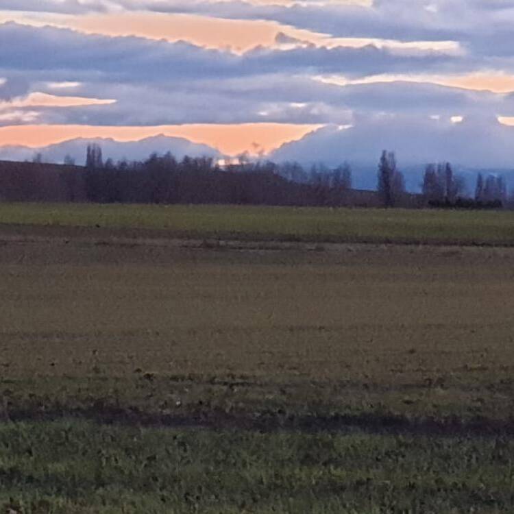 Foto de perfil de Pilar