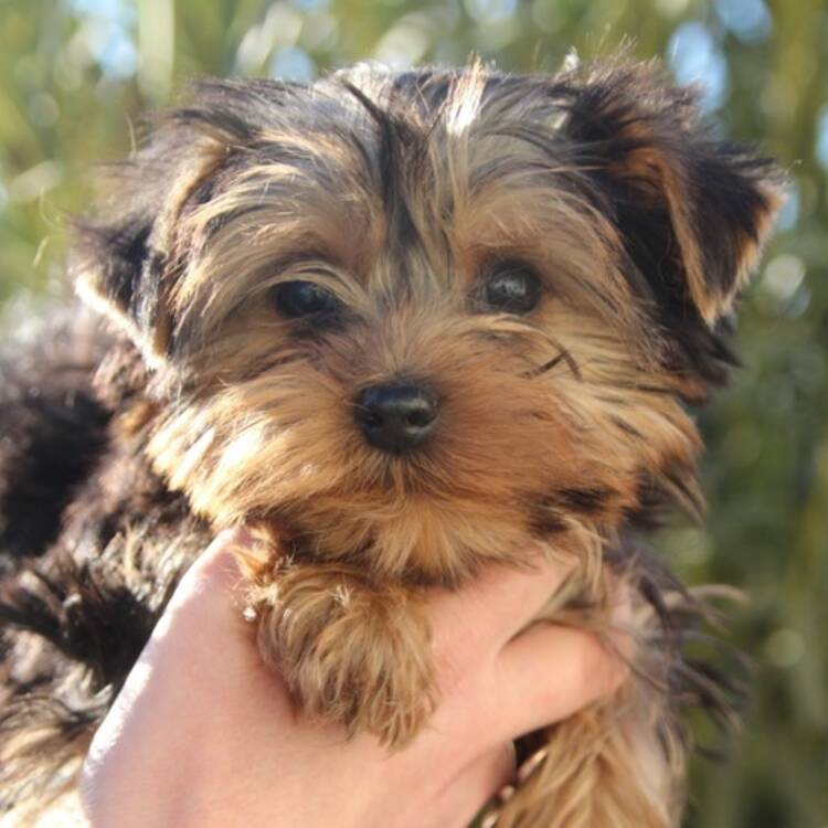 Foto de perfil de Beatriz